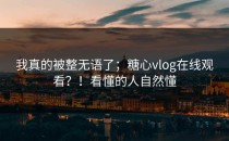我真的被整无语了；糖心vlog在线观看？！看懂的人自然懂